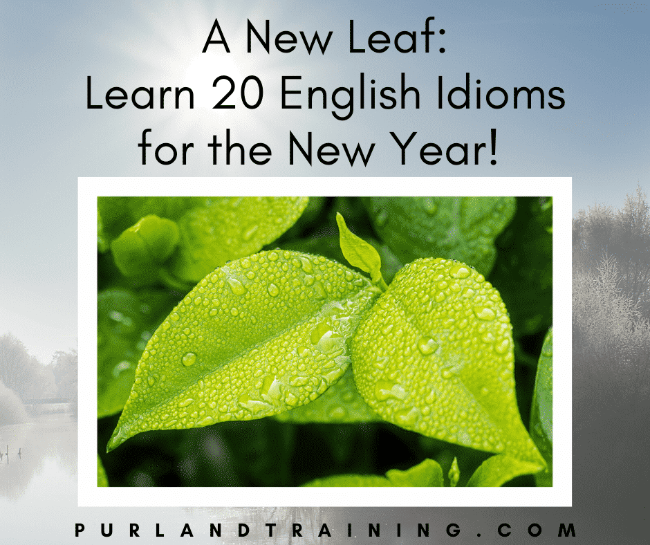 A New Leaf: Learn 20 English Idioms for the New Year