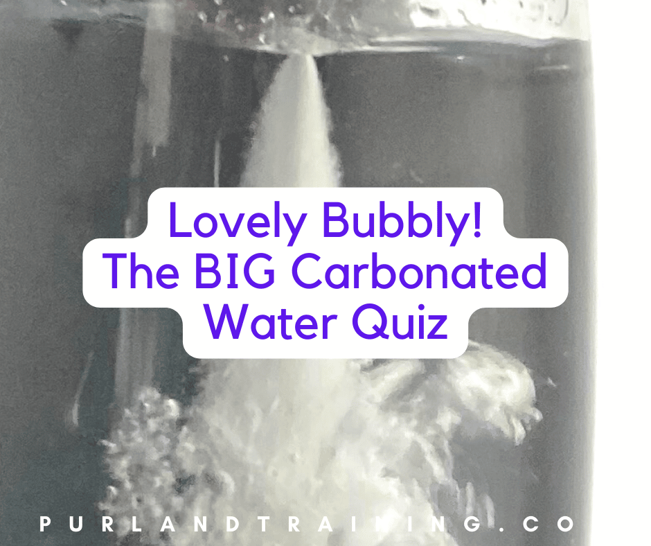 Lovely Bubbly! The BIG Carbonated Water Quiz